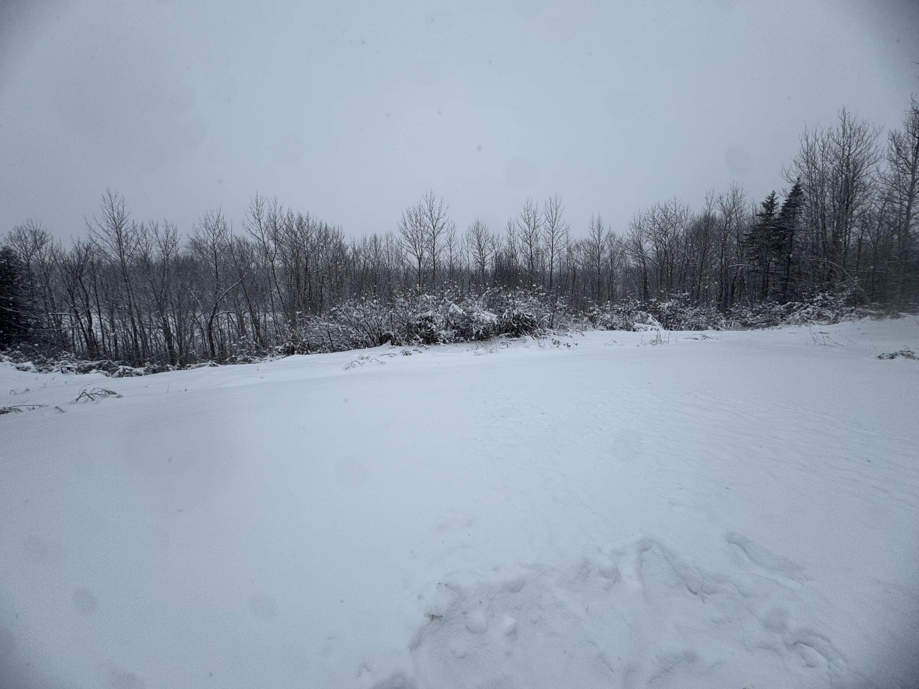 316 Parkhurst Siding Road Presque Isle, ME 04769 - Photo 6 of 23 IMG_9407