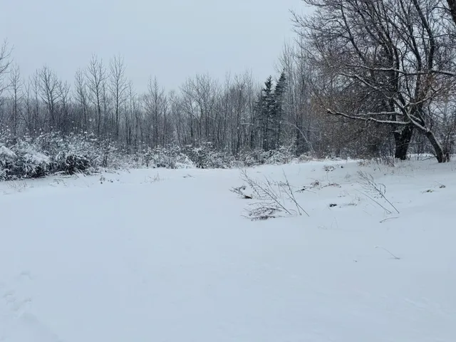 $128,500 | 316 Parkhurst Siding Road, Presque Isle, ME 04769