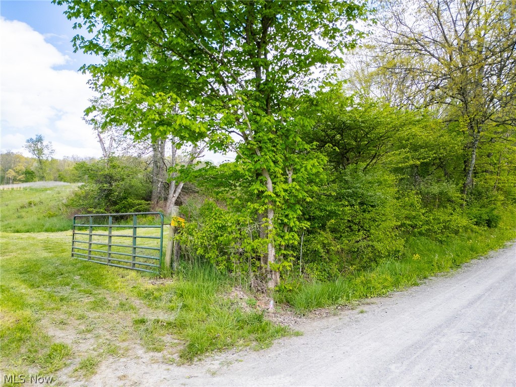 69800 Skull Fork Road Freeport, OH 43973 - Photo 9 of 50