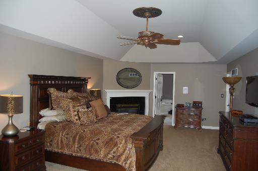 2724 Wendy Road Naperville, IL 60565 - Photo 9 of 16 a bed room with a bed and a fireplace