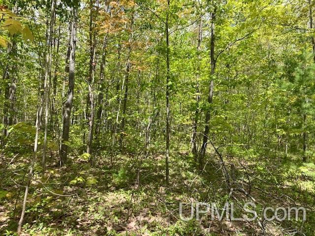2 Boundary Road Chassell, MI 49916 - Photo 45 of 77