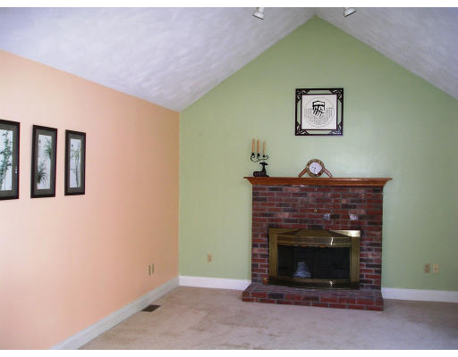10 Chapelgate Road Canton, MA 02021 - Photo 4 of 11 a living room with furniture and a fireplace