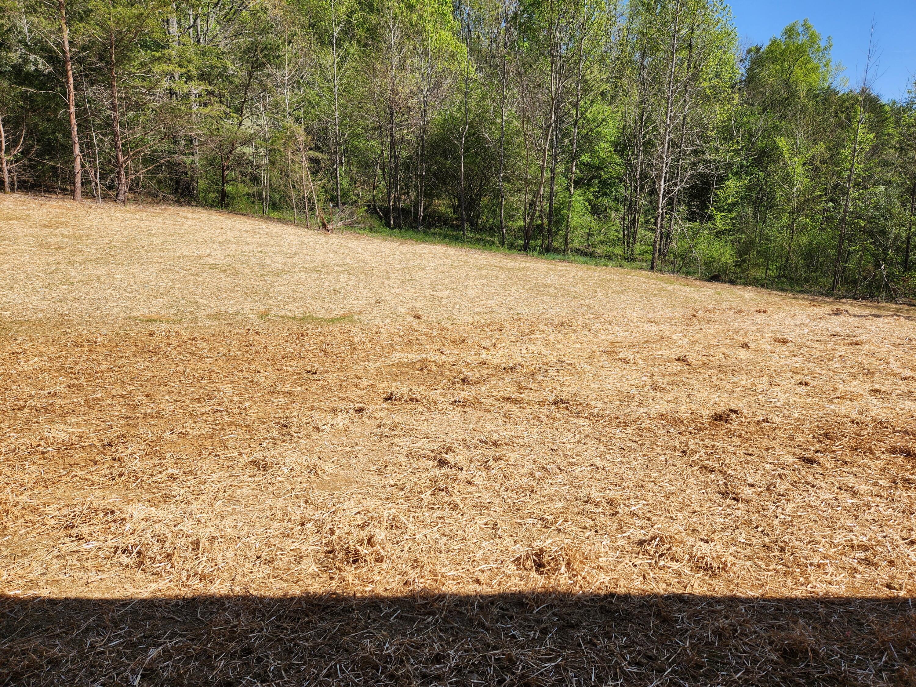 180 West Park Circle Decatur, TN 37322 - Photo 30 of 31 20250409_161611