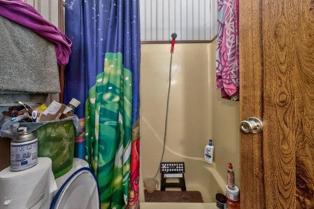 a close up of a potted plant