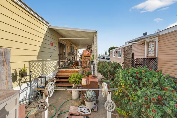 a potted plant sitting in front of a house