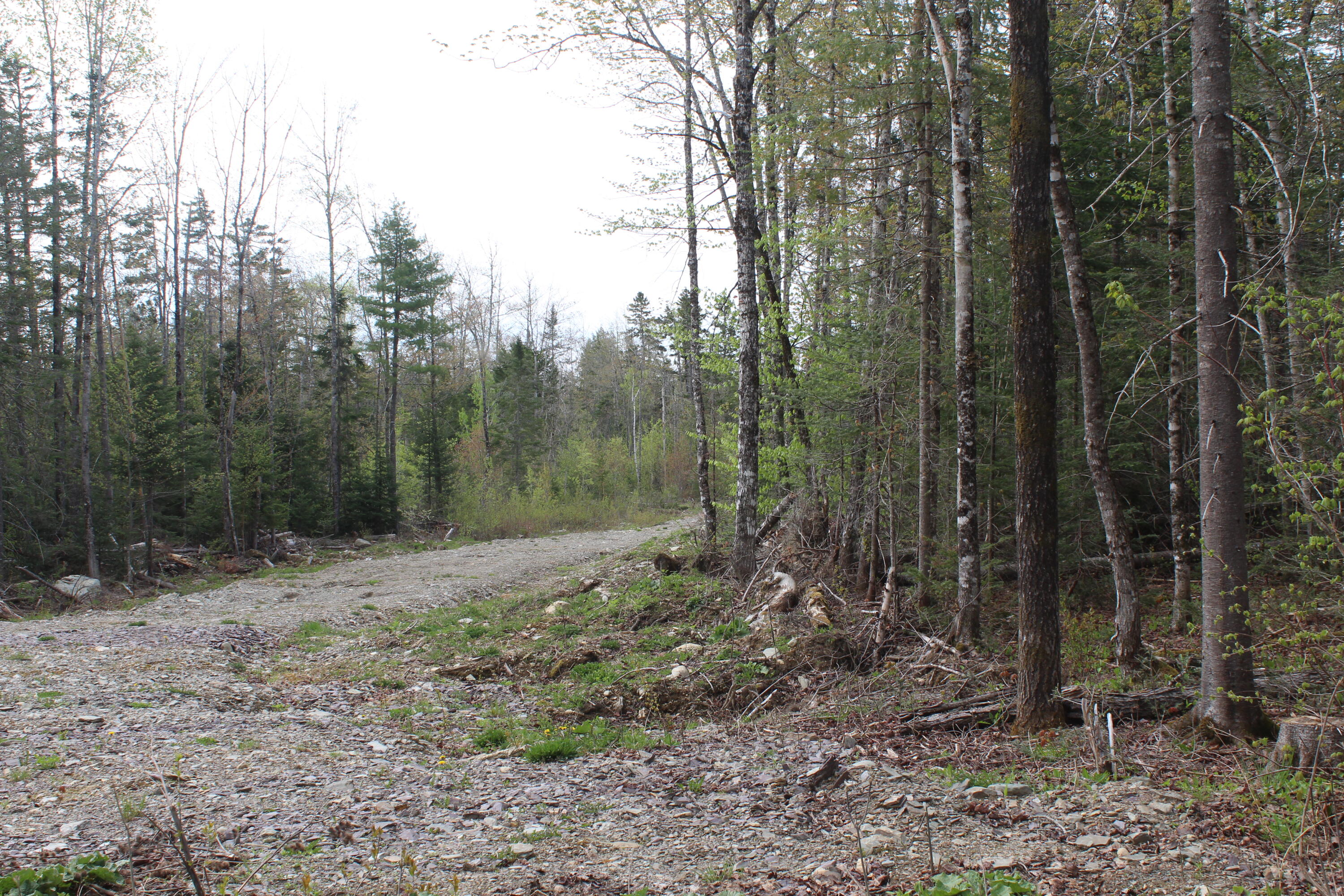 M4-l2 Laskey Road Houlton, ME 04730 - Photo 3 of 20 IMG_5008