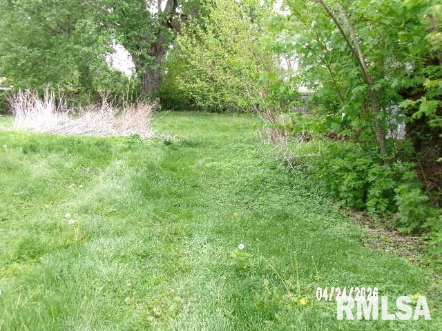 518 North 9th Street Cuba, IL 61427 - Photo 20 of 20