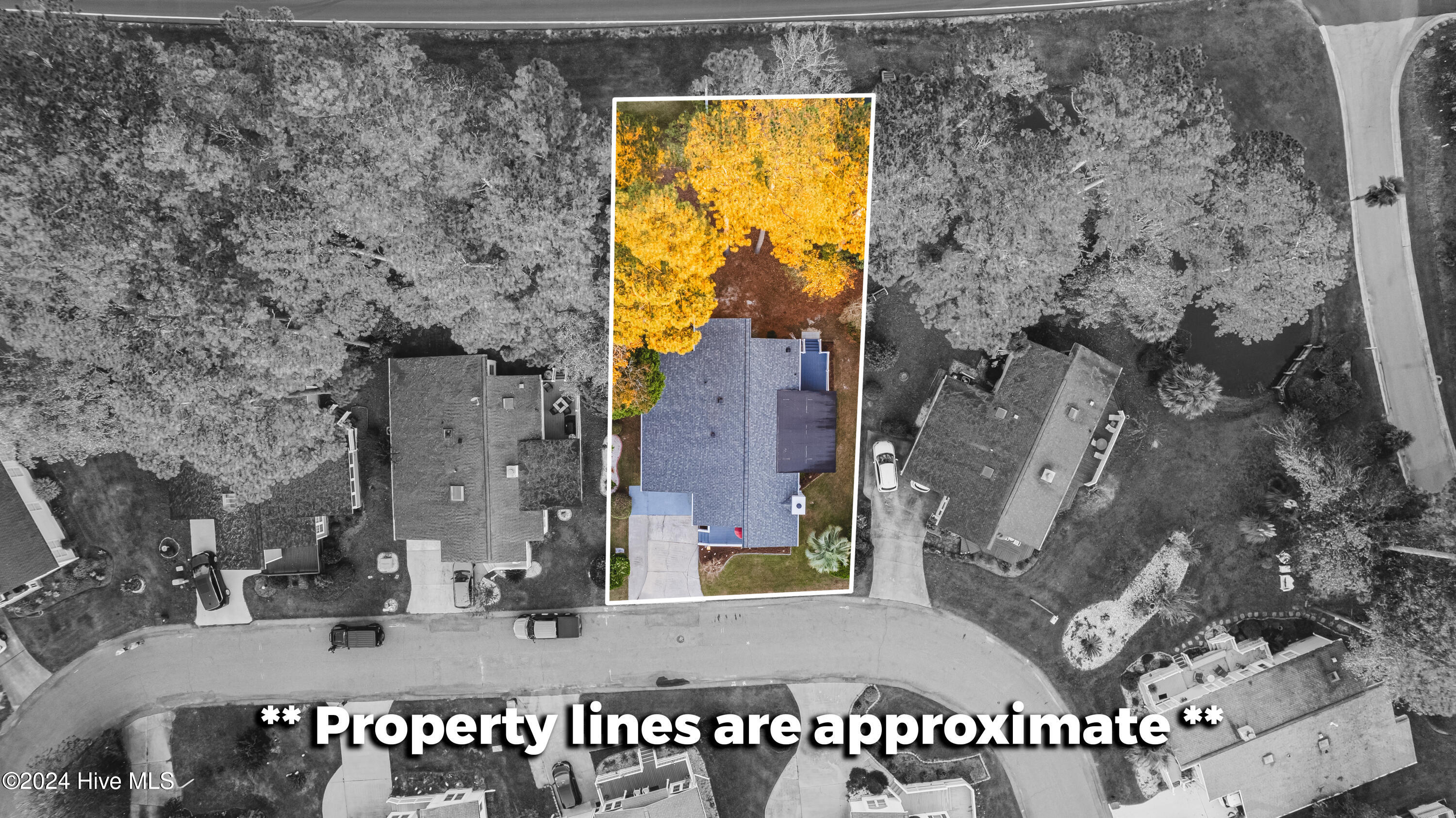 515 Deer Path Calabash, NC 28467 - Photo 33 of 44 515 Deer Path, Lot View