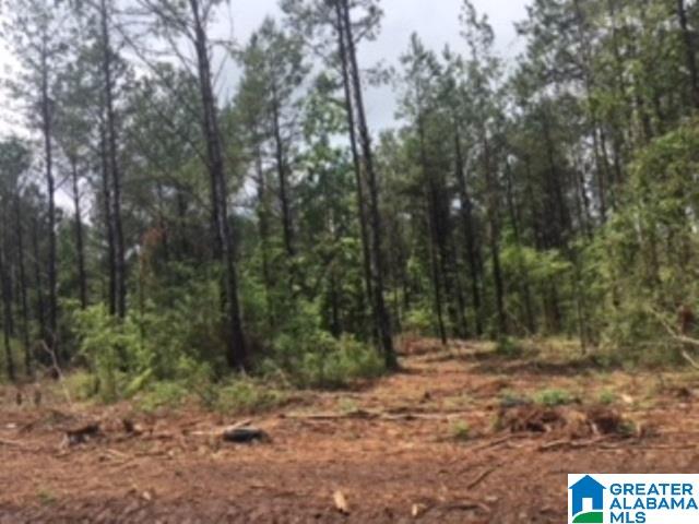 325 Springhill Road, Unit 1 Talladega, AL 35160 - Photo 6 of 31