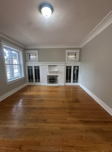 7704 South Aberdeen Street, Unit 1S Chicago, IL 60620 - Photo 2 of 14 a living room with fireplace furniture and a window