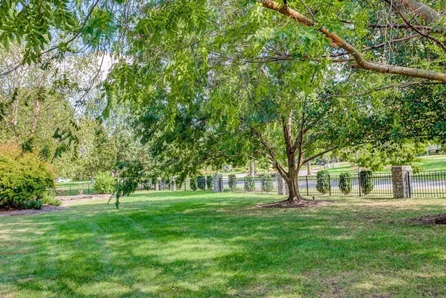 a huge green field with lots of trees