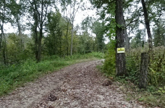 20829 Lincoln Road Morrison, IL 61270 - Photo 2 of 2 a view of a forest that has large trees