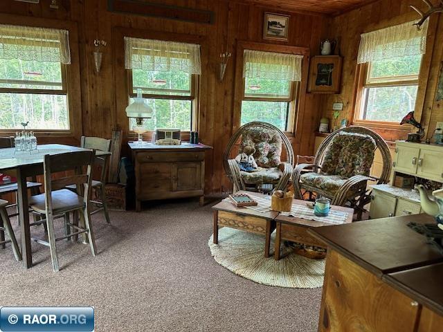 4482 Stuntz Road Hibbing, MN 55746 - Photo 32 of 44