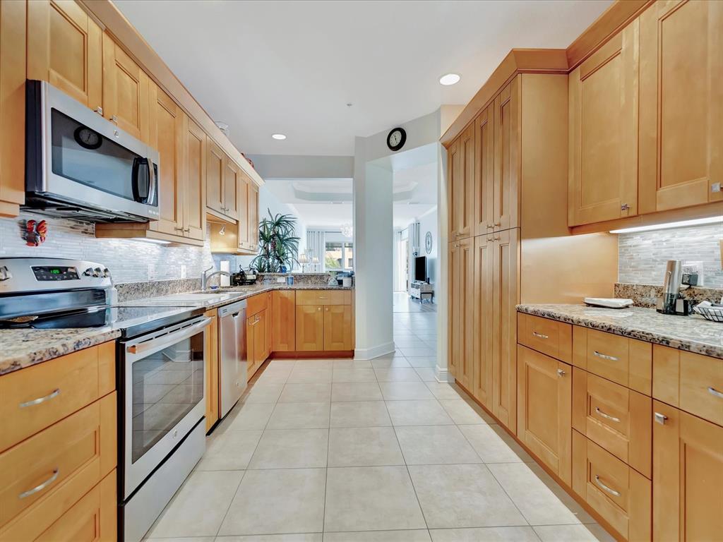 1022 Bellasol Way, Unit 5302 Apollo Beach, FL 33572 - Photo 13 of 43