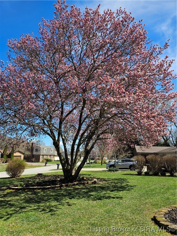 308 Laurel Lane Madison, IN 47250 - Photo 3 of 21