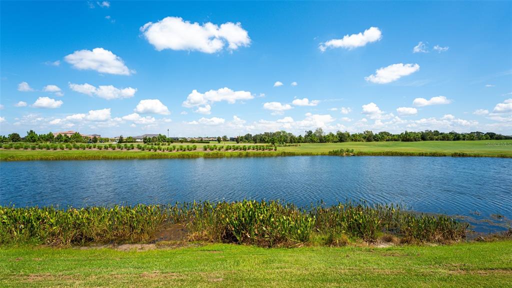 5907 Brandon Run Lakewood Ranch, FL 34211 - Photo 38 of 60