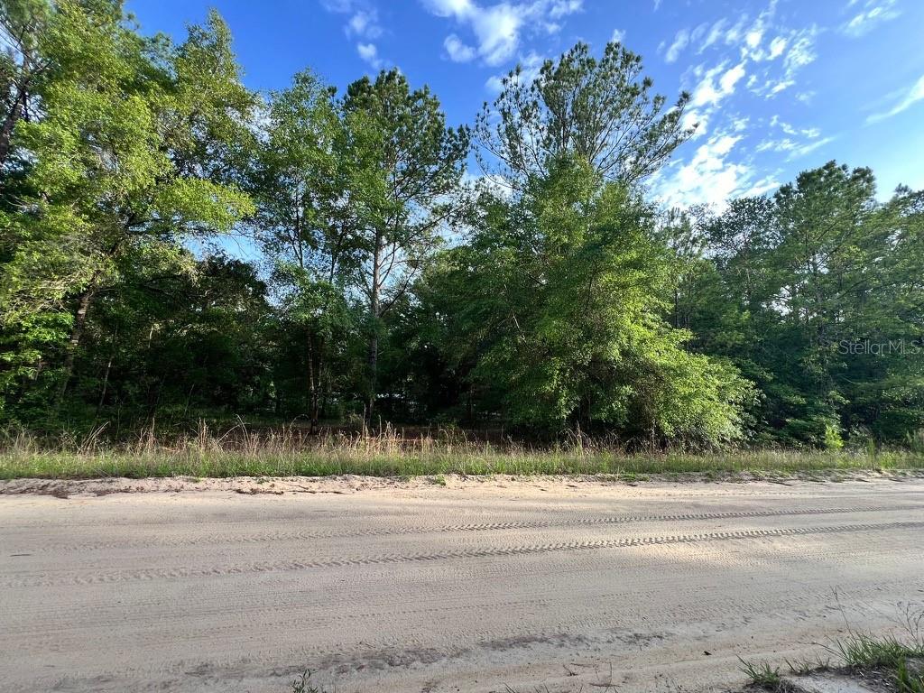 Decker Street Interlachen, FL 32148 - Photo 2 of 6 a view of a yard with a tree