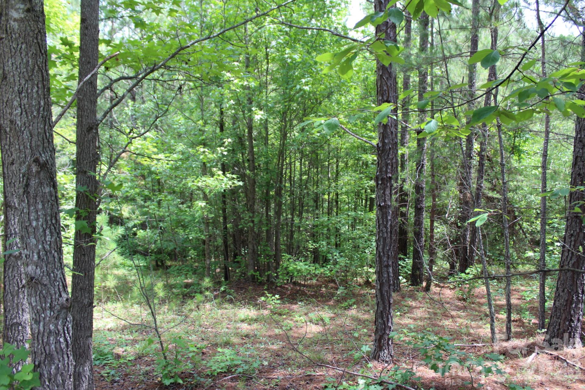 0 John Watson Road Rutherfordton, NC 28139 - Photo 12 of 26 Gallery Image 12