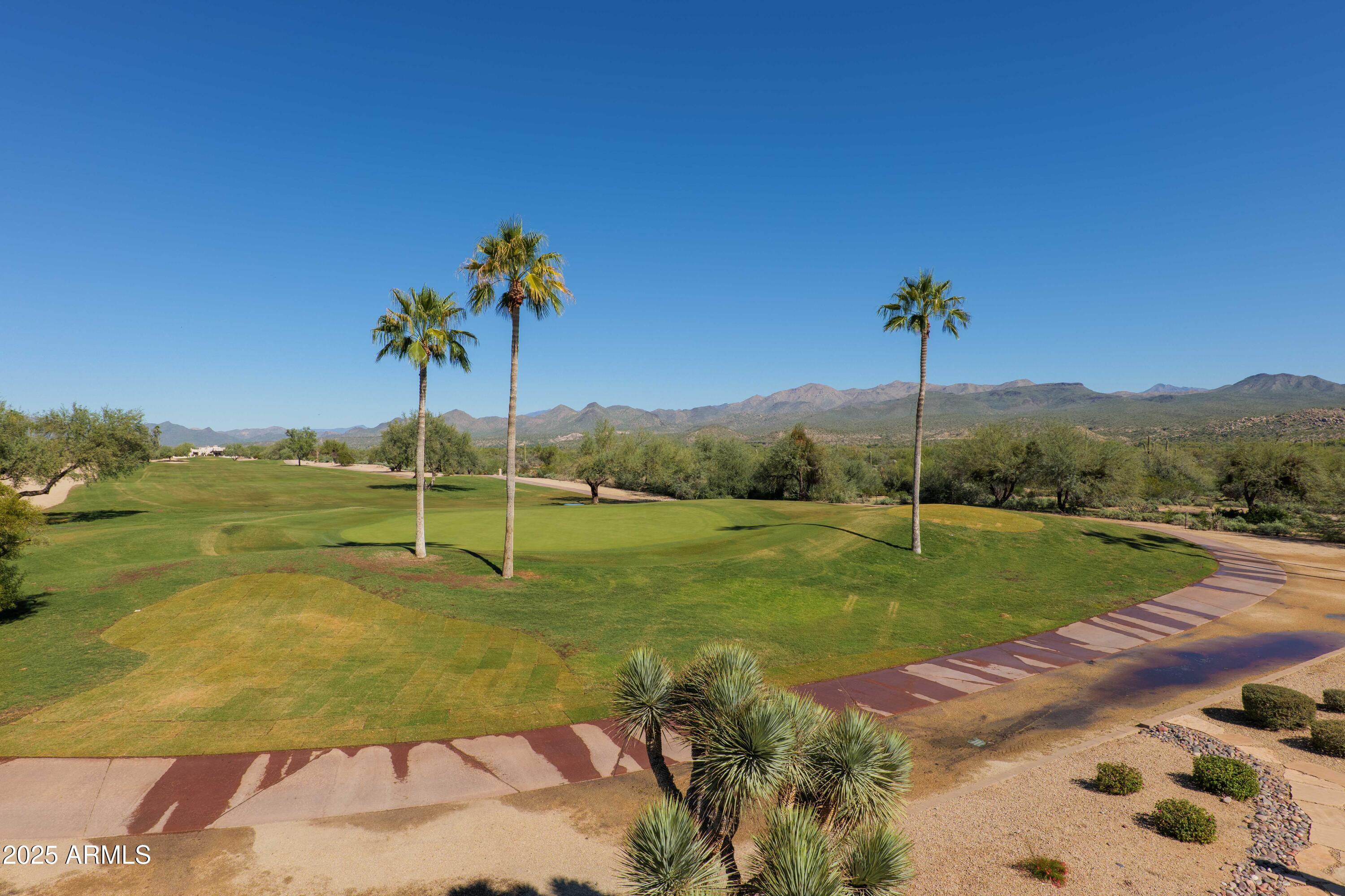 19130 East Alondra Way Rio Verde, AZ 85263 - Photo 27 of 40 a view of a garden