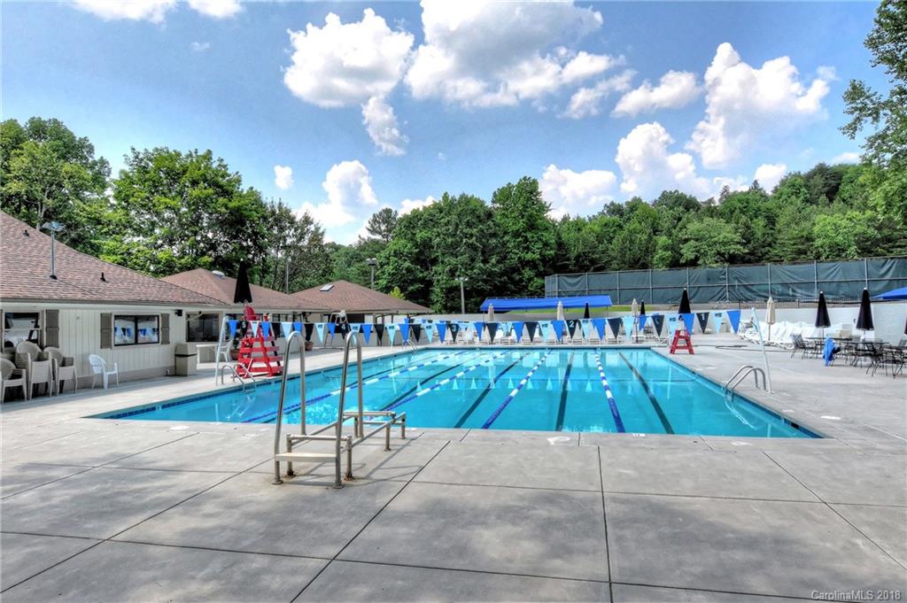 3203 Planters Ridge Road Charlotte, NC 28270 - Photo 35 of 36 a swimming pool with lots of trees in the background