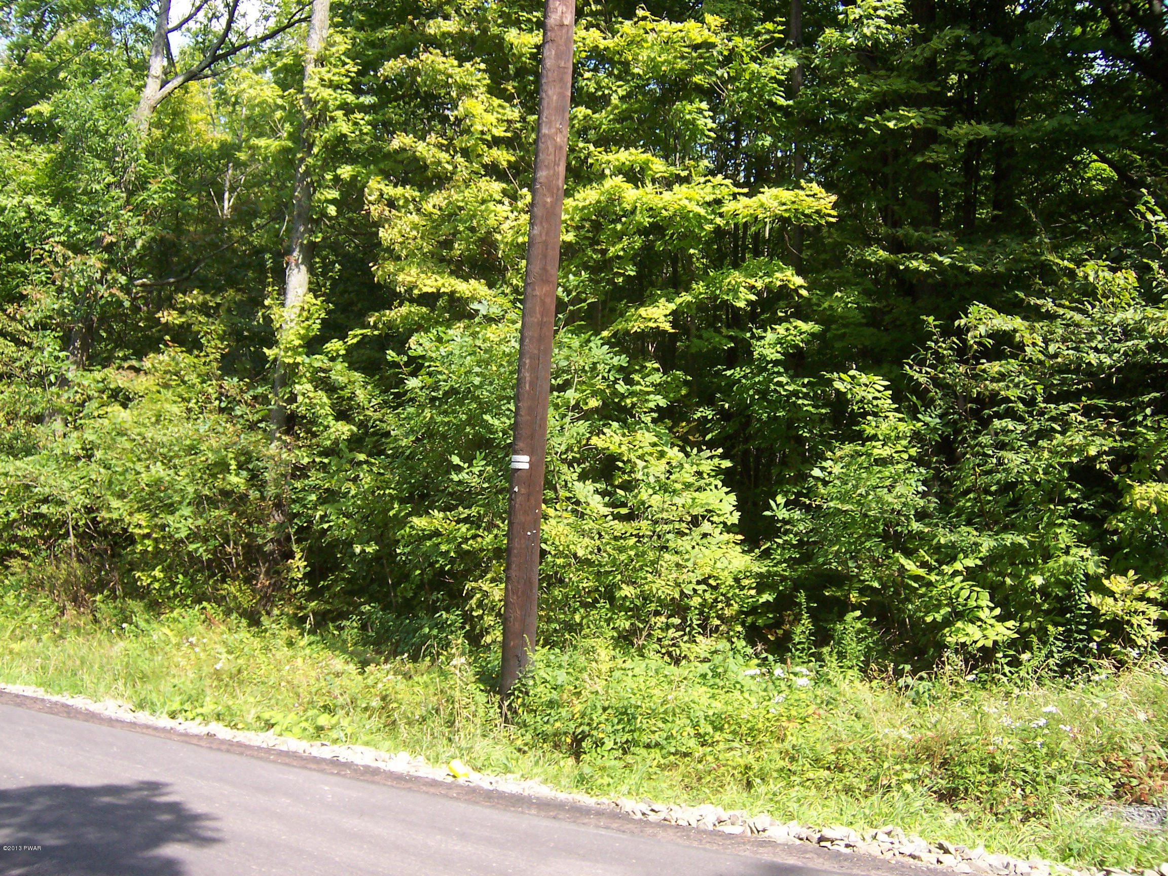North Barnes Road Moscow, PA 18444 - Photo 3 of 6