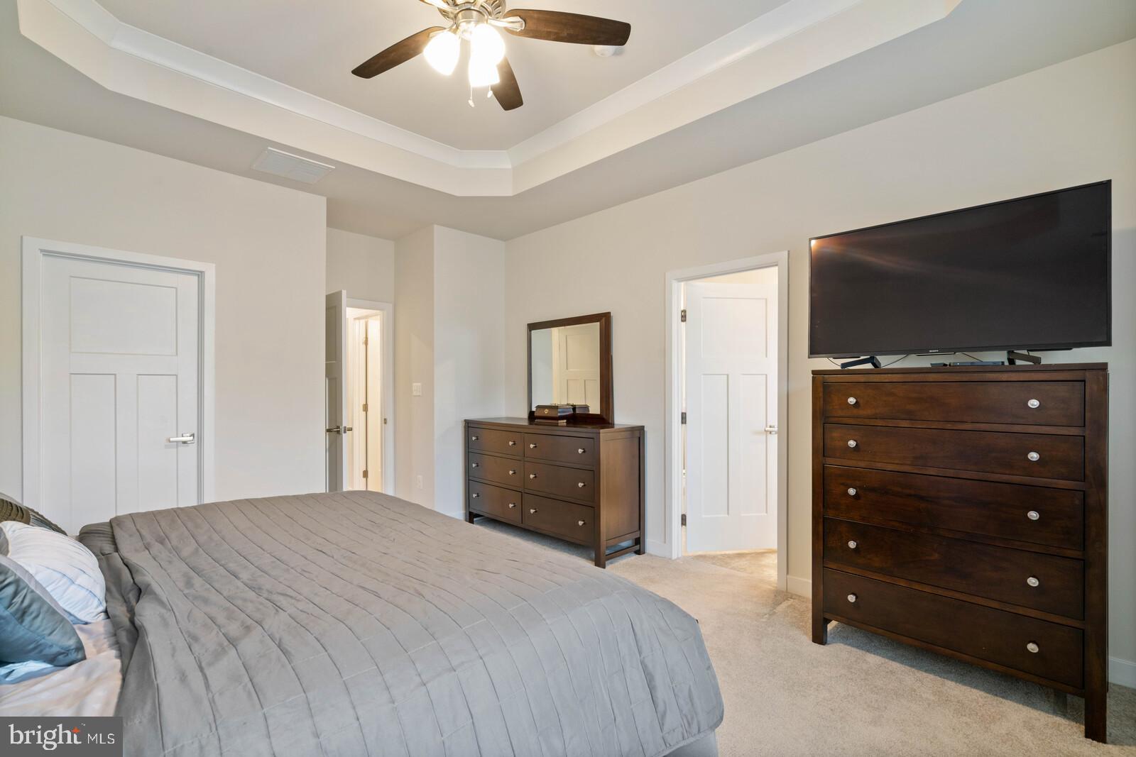 2117 Hemlock Bay Road Dumfries, VA 22026 - Photo 20 of 43 Trey Ceilings