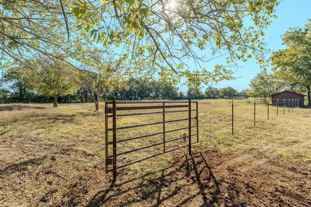 a view of a yard with trees