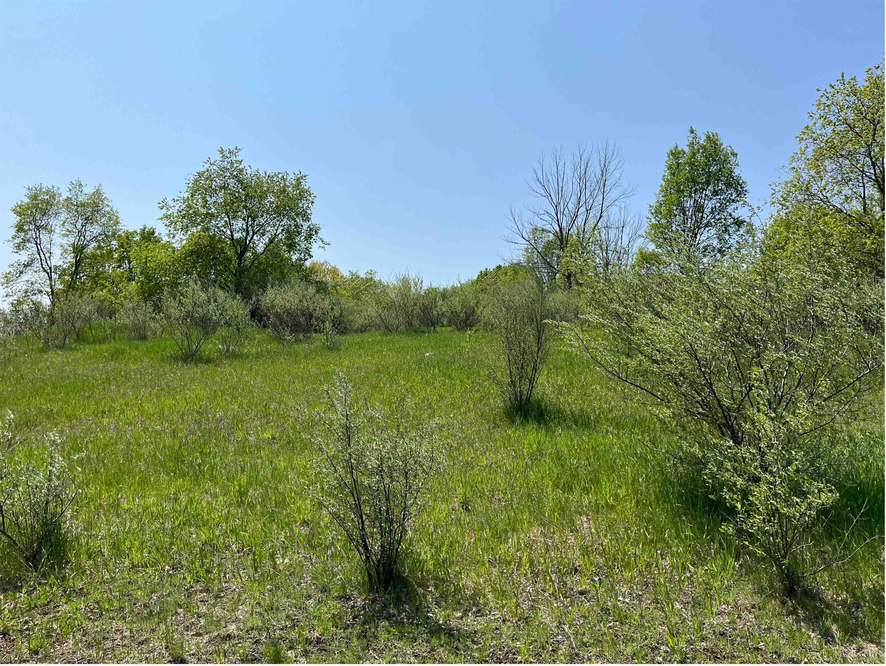 Lot 45 Florey's Ranch Road Grawn, MI 49637 - Photo 1 of 11 1925765-BA5EB555-9A82-461D-83D4-CD394C17B994.JPG