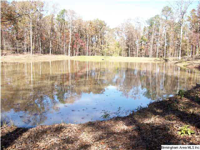 Meadow Lake, Unit 2A Calera, AL 35040 - Photo 5 of 9