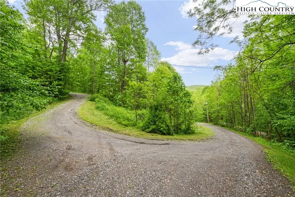 a view of a house with a yard and large tree