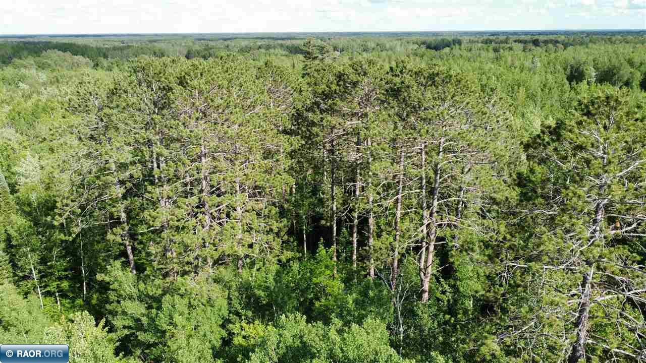 Tbd South Salmi Road Hibbing, MN 55746 - Photo 26 of 36 Gallery Image 26