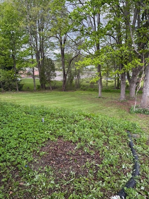 2058 Owego Road Vestal, NY 13850 - Photo 5 of 16