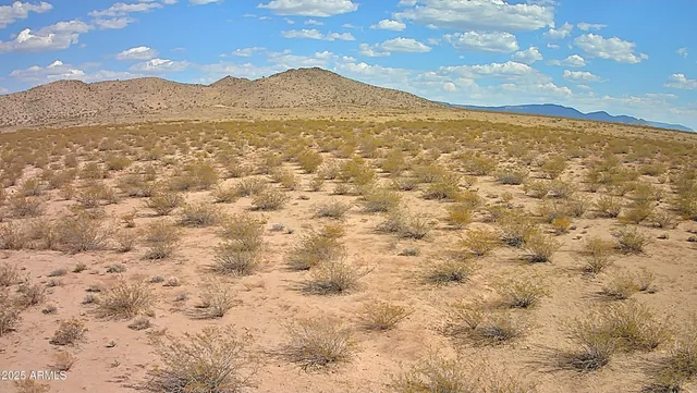 a view of an ocean and a mountain