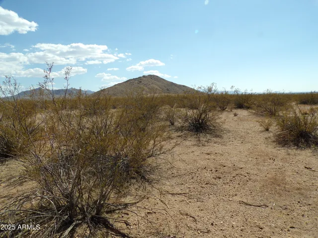 a view of a dry yard with mountains in the background