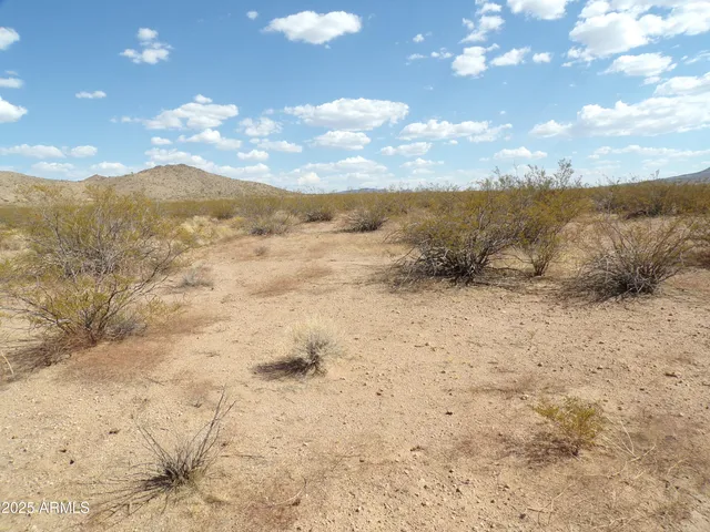 a view of ocean view with large trees