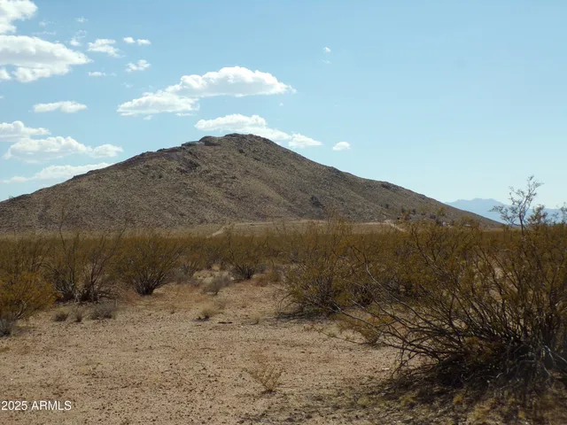 a view of a dry yard