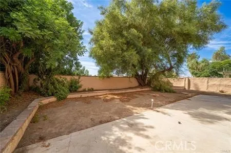 a view of yard and tree