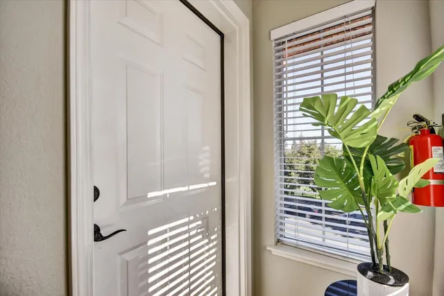 a view of a potted plant in a window