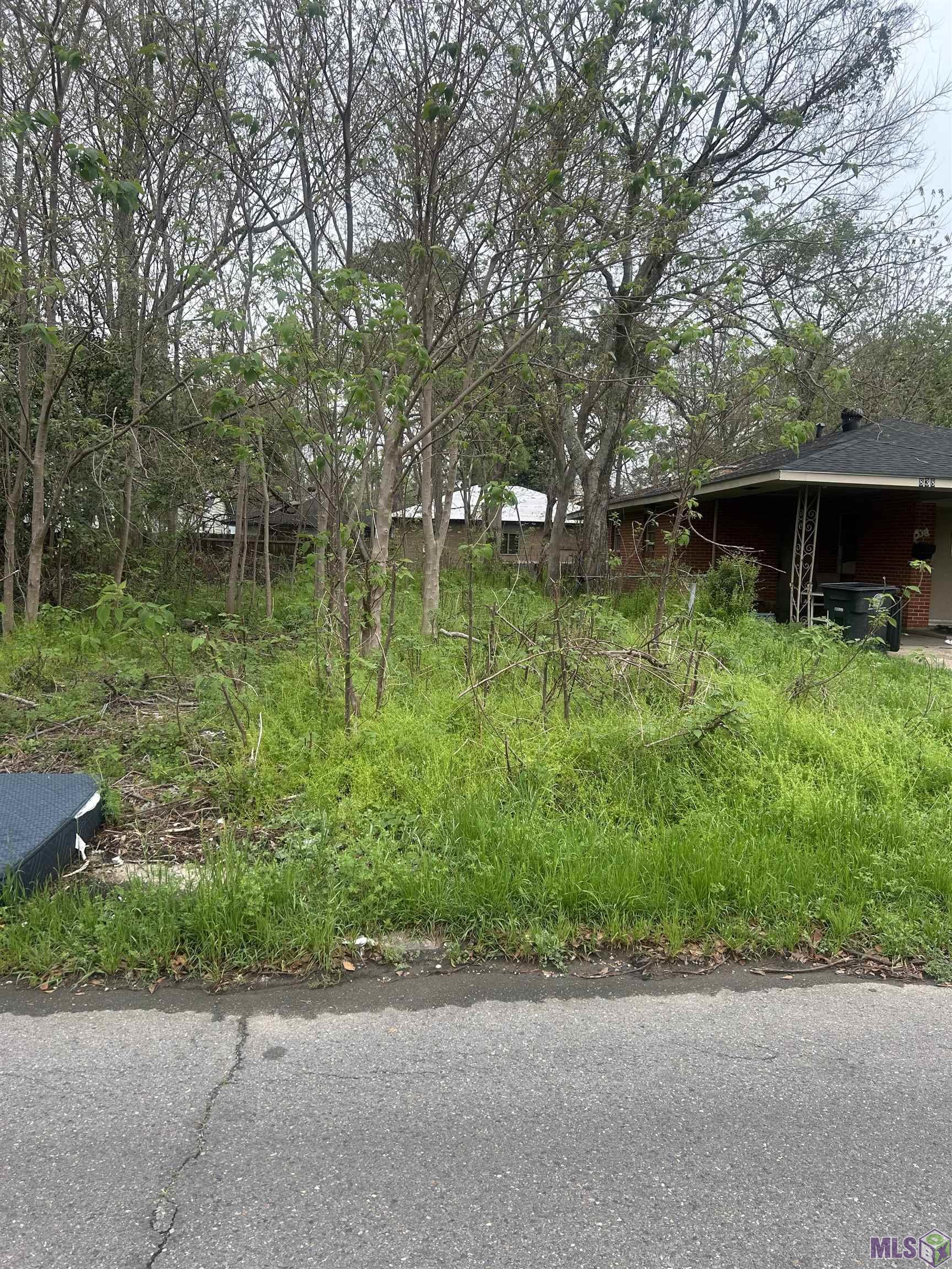 844 West Roosevelt Street Baton Rouge, LA 70802 - Photo 3 of 4