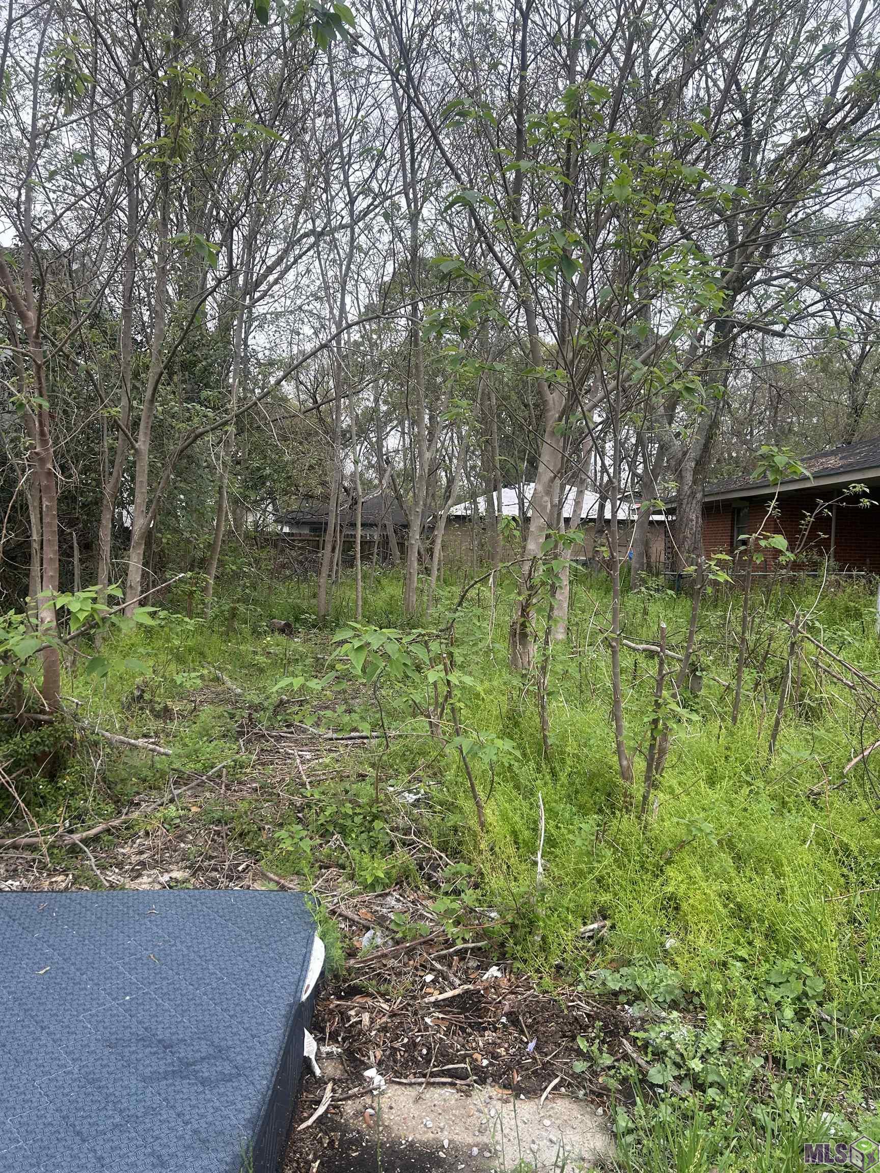 844 West Roosevelt Street Baton Rouge, LA 70802 - Photo 4 of 4
