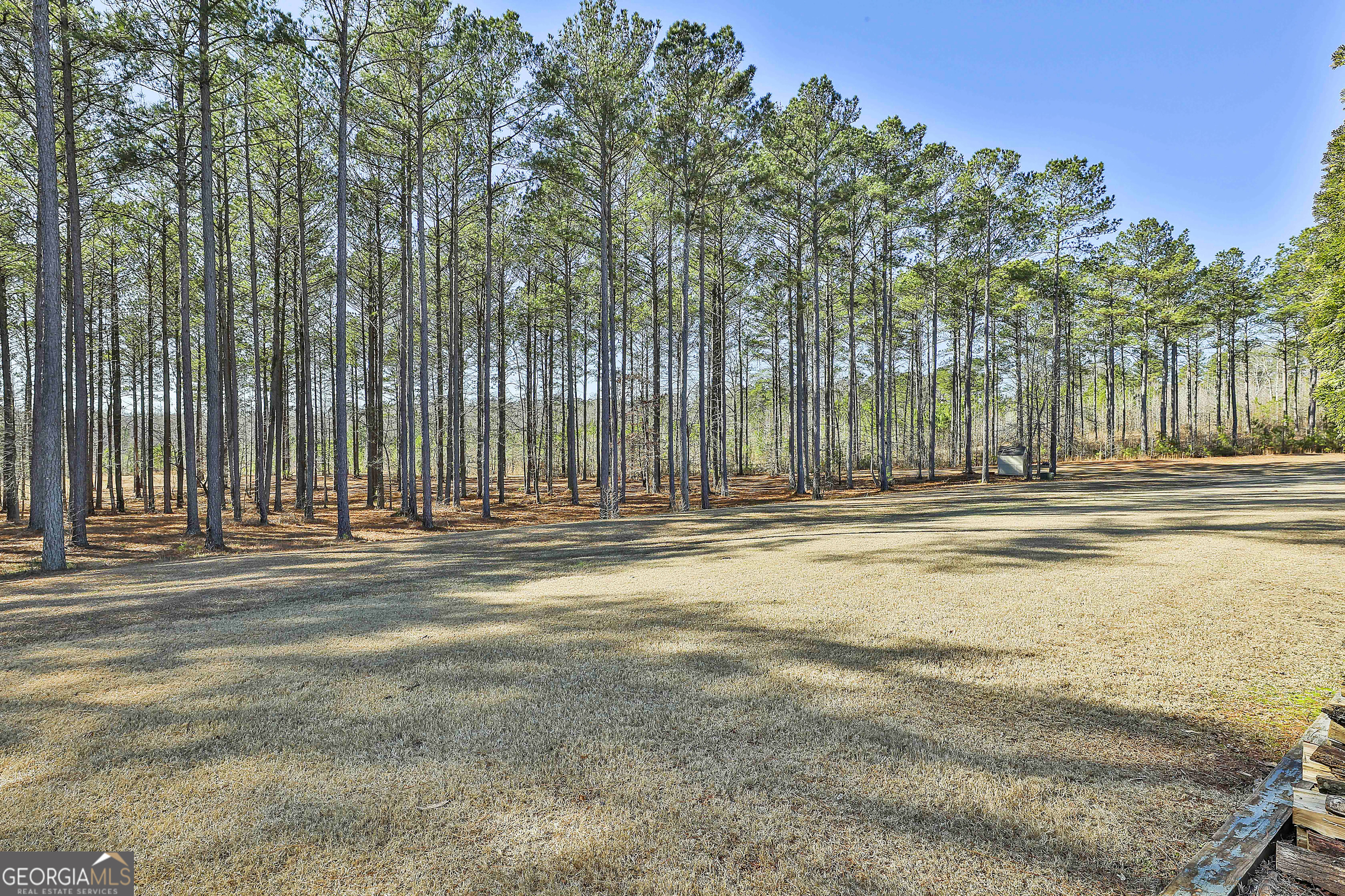2161 Bear Creek Road Moreland, GA 30259 - Photo 119 of 137