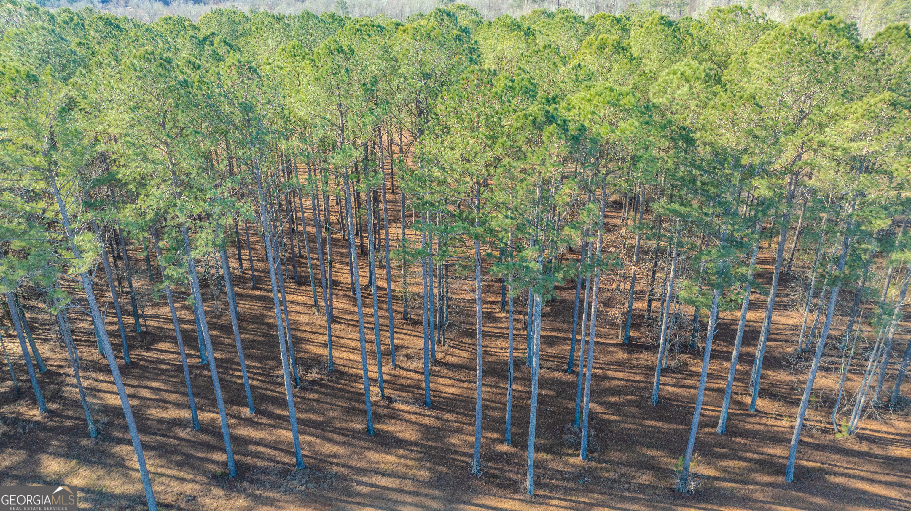 2161 Bear Creek Road Moreland, GA 30259 - Photo 123 of 137 a view of a door with an outdoor space