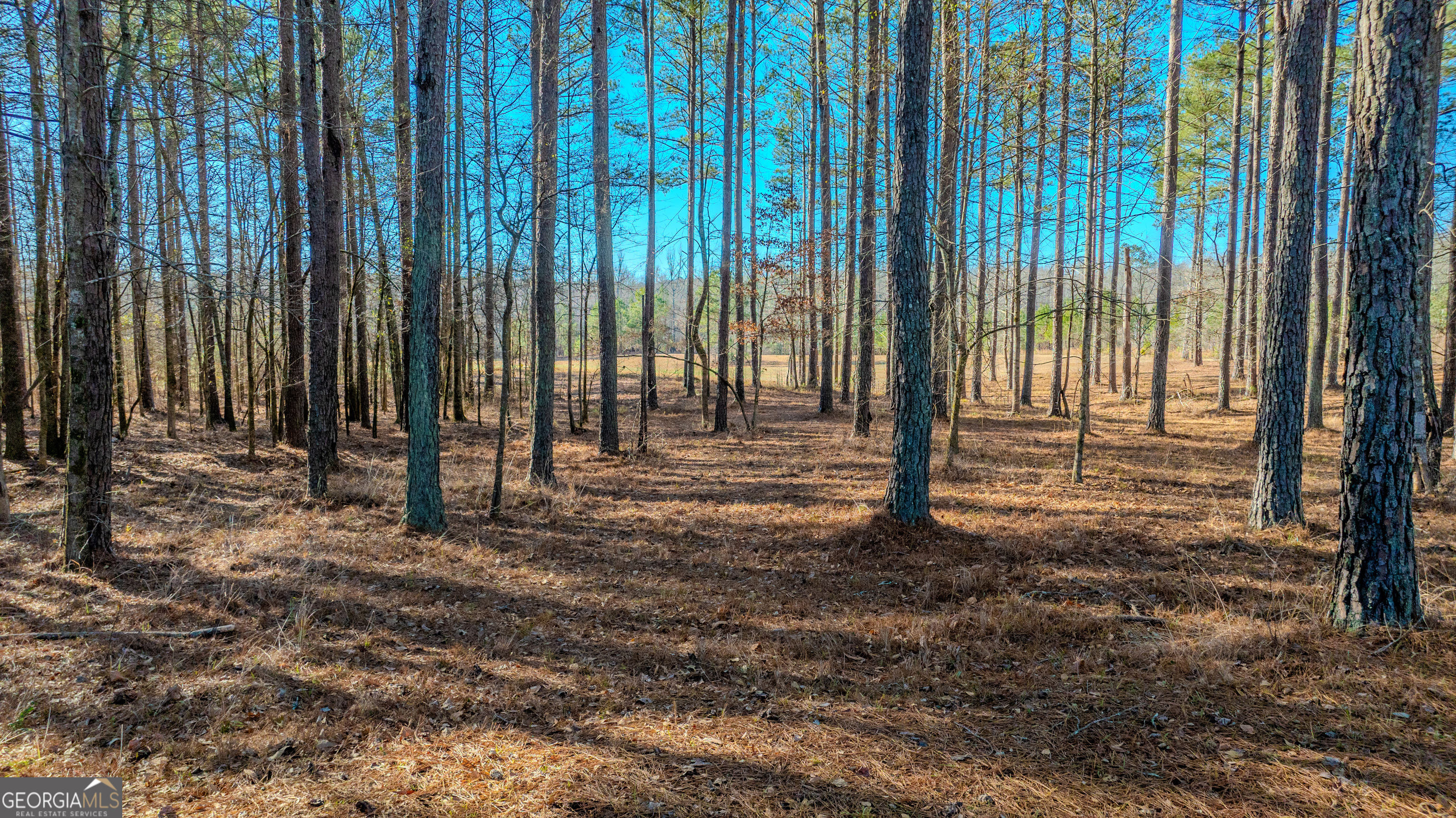 2161 Bear Creek Road Moreland, GA 30259 - Photo 124 of 137 a view of outdoor space with sliding door