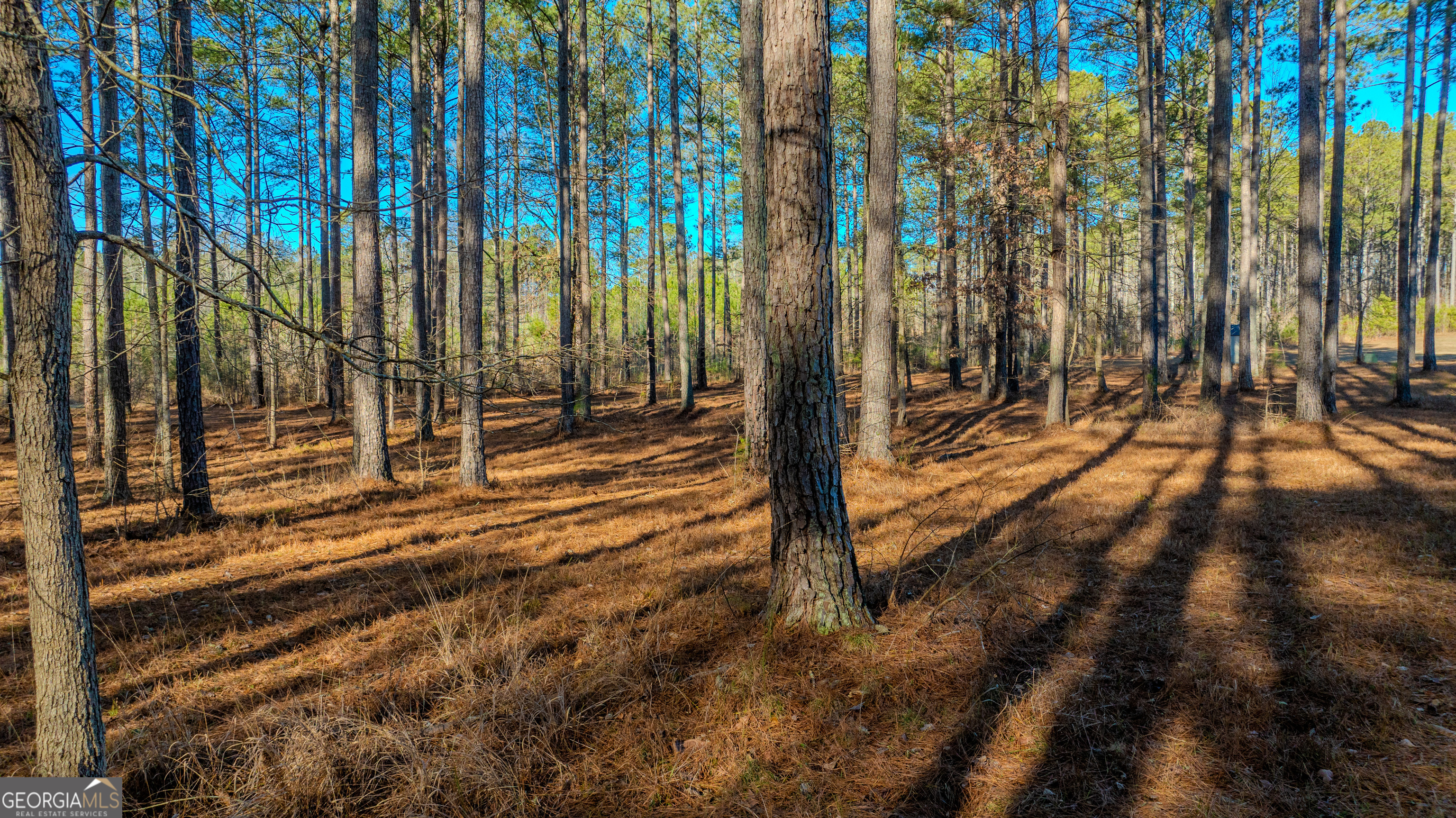 2161 Bear Creek Road Moreland, GA 30259 - Photo 125 of 137