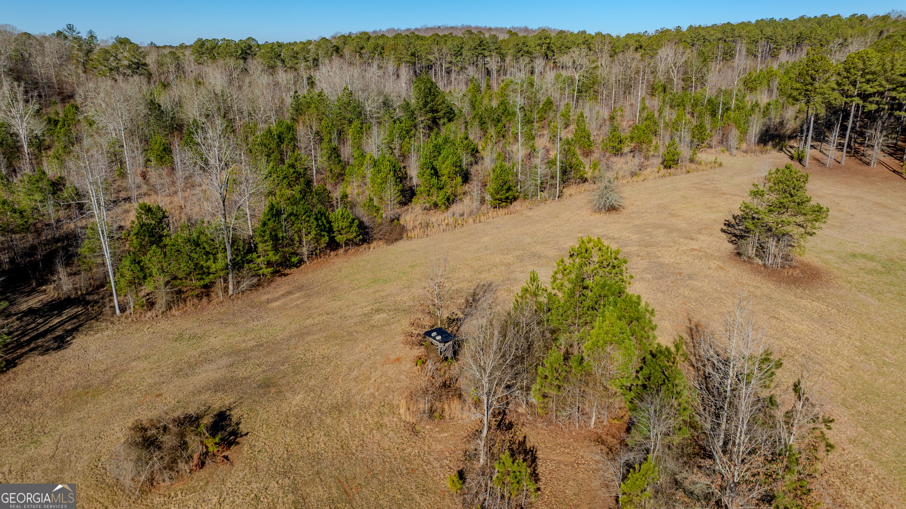2161 Bear Creek Road Moreland, GA 30259 - Photo 129 of 137 a view of a road with a yard