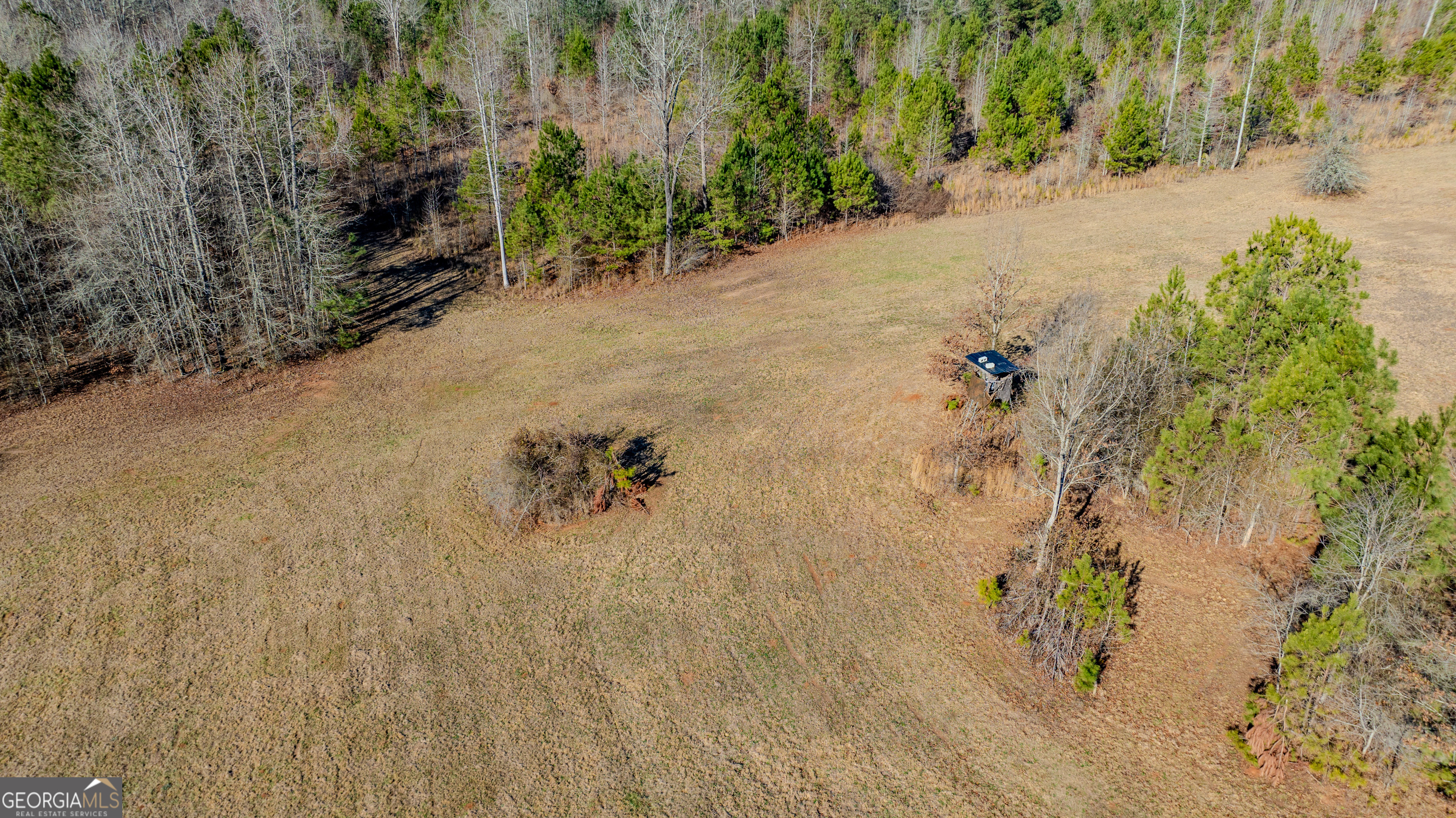 2161 Bear Creek Road Moreland, GA 30259 - Photo 130 of 137 a view of a backyard of a house