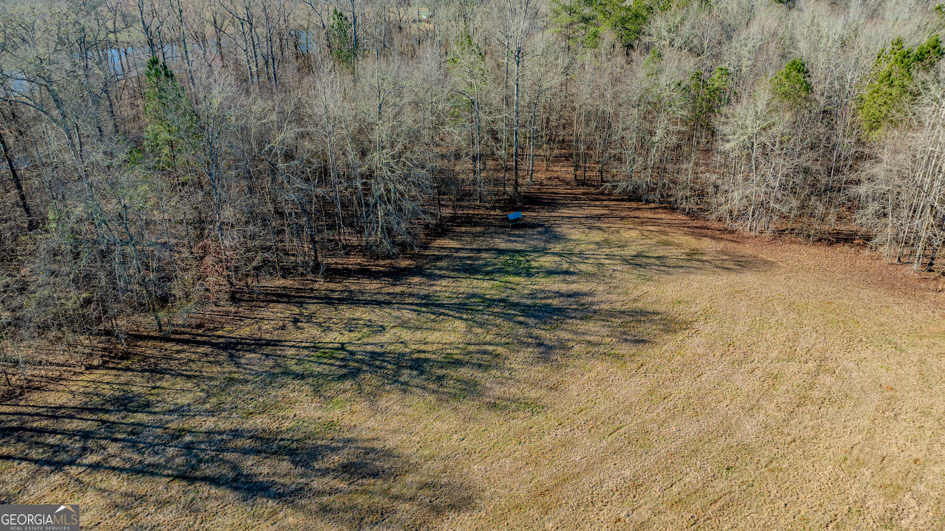 2161 Bear Creek Road Moreland, GA 30259 - Photo 131 of 137 a view of a yard with a dry yard