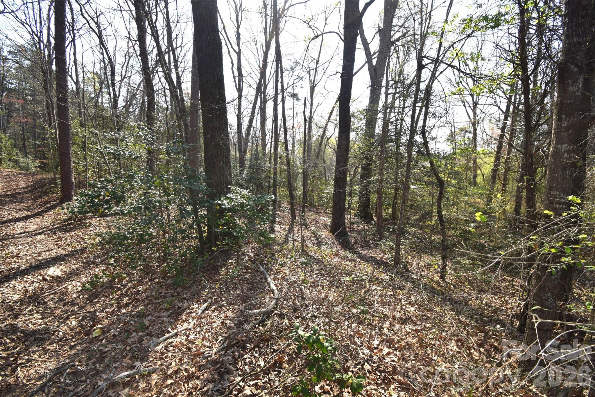 Lot 3 Upper Spencer Mountain Road Stanley, NC 28164 - Photo 10 of 13