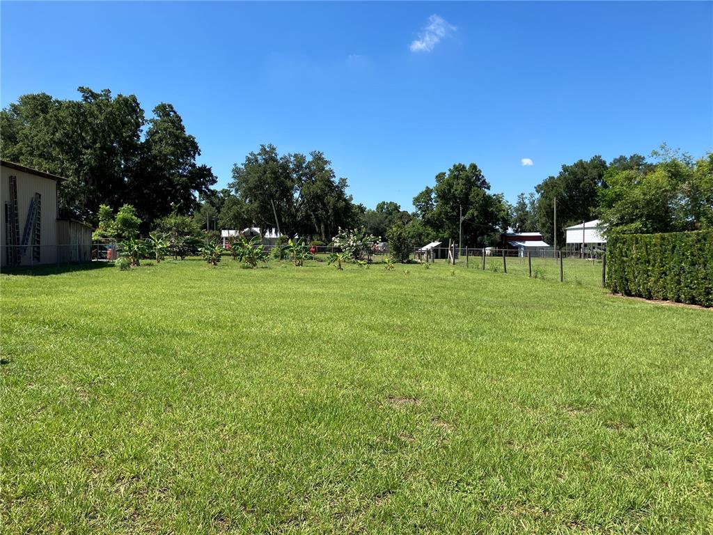 3834 Charter Road Lakeland, FL 33810 - Photo 39 of 39 a backyard of a house with lots of green space and outdoor space