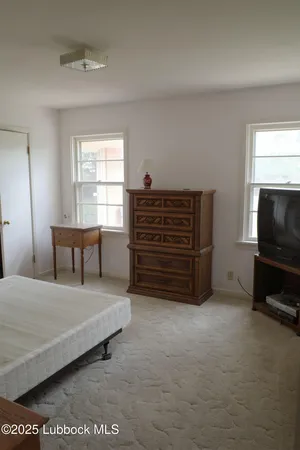 a bedroom with a bed and a television in it